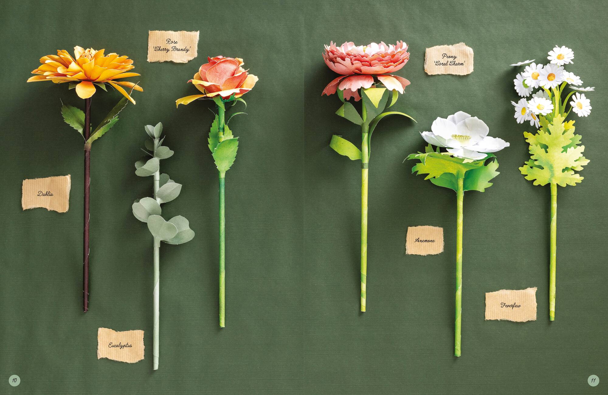 The Bouquet in a Book: Pre-Punched Pages to Press Out & Make